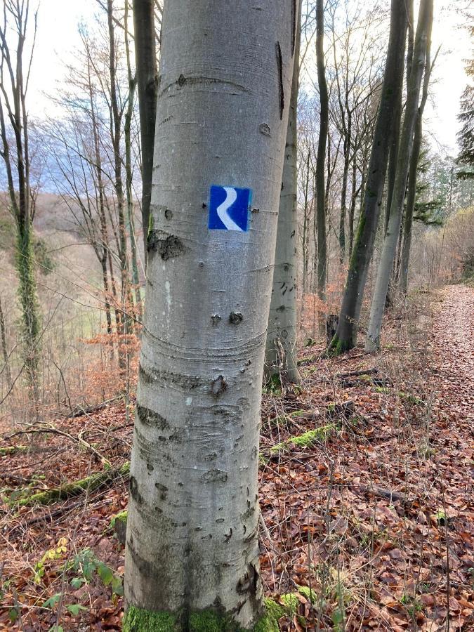 Wohnung Rhein-Wald-Und Weitsicht Rengsdorf Esterno foto